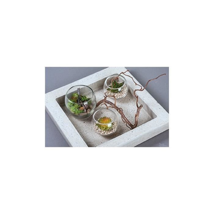 Plante artificielle - Rayher - Echeveria - 5 cm - Décorative - Relaxation intérieure