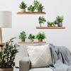 Painted Potted Plant with Shelf Self Adhesive Wall Sticker for Bedroom Living Room Home Background Decor
