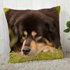 Tibetan Mastiff Pillowcase  Modern Home Living Room Decoration