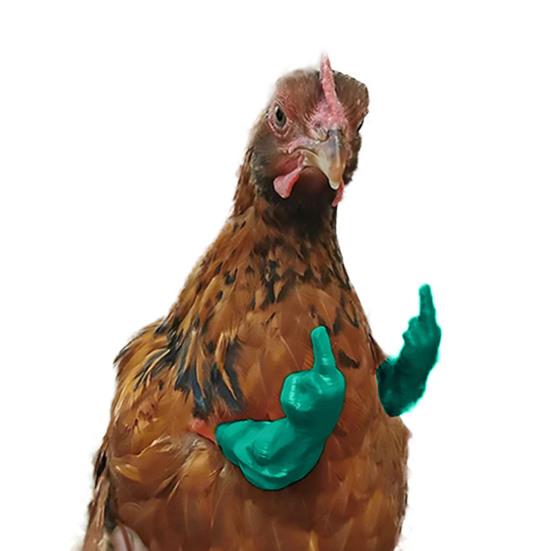 Игрушки-имитации куриных лап для домашних кур. Дизайн с поднятым средним пальцем, сжатым в кулак