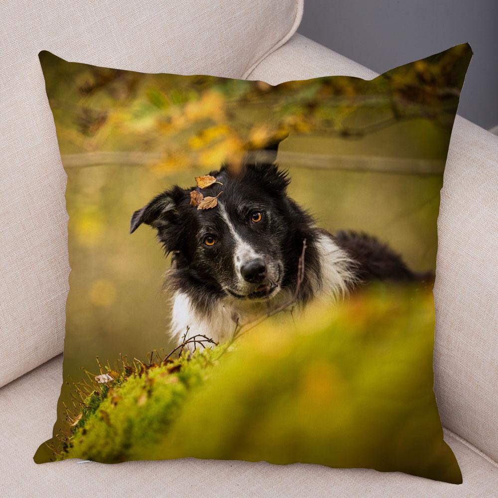 Милый питомец животное собака принт наволочка шотландский бордер колли подушка чехол диван украшение для автомобиля