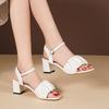 Fashion Low Sandals Woman Leather Buckle Strap All-Match Suit Female Beige Shoes Lady 2025 Med High Heels Large Size Low-heeled Comfort