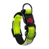 Fashion Adjustable Dog Collar Comfortable Soft Foam Padded Reflective Nylon with Double D Rings for Small Medium Large Dogs