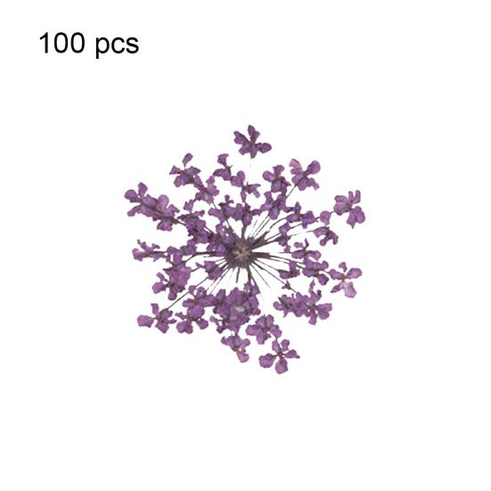 100шт прессованный сушеный цветок Ammi Majus из эпоксидной смолы для ногтей DIY Декор для телефона
