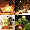 Reptiles Animal Heating Lamp Growth Full Spectrum Sunlamp Temperature Control Universal Warm Light Accessories
