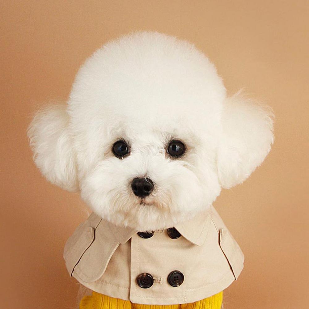 Fashion British Style Dog Cloak Windbreaker CorgiFrench Bulldog Pet Dog Bib Pet Clothing Cape Pets Costume Trench For Small Dog