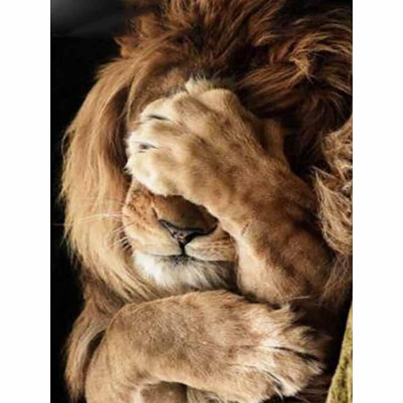 Diy Painting 5d New Diamond Lion Diamond Embroidery Animals Full Round Drill Crafts Home Decor Manual Gift