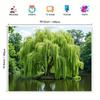 2D Green Nature Pond Backdrop Photography Background Banner