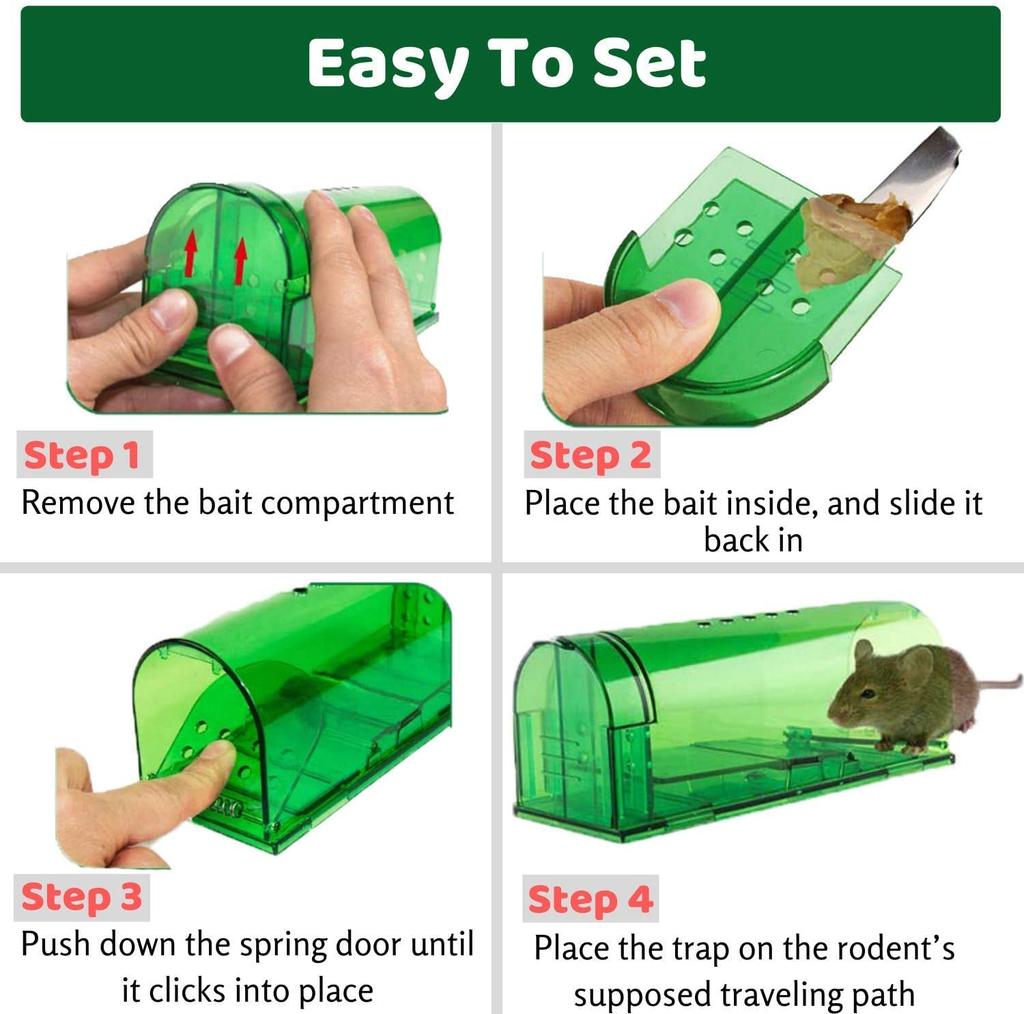 Для небольшой педали мышеловки клей легко установить из 4 Мышеловка, мыши, ловушка, ловушка, тип, приманка, ловушка, мышеловка, уничтожение, лист, ловушка, мышь,