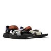 ACG Air Deschutz+ Светло-железный Мужские DO8951-002