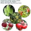 10PCS Fruit Protection Bags,Green Netting Bags for Fruit Trees, Garden Fruit Cover Mesh Bags with Drawstring for Plant Fruit Flower and Vegetables