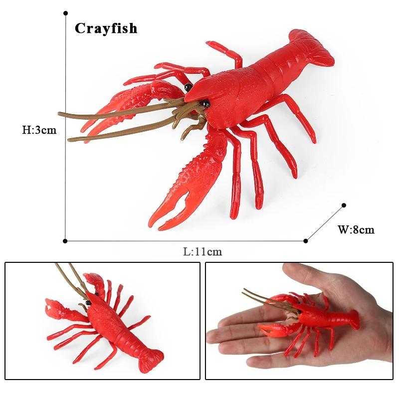 Oenux Морская звезда Океана Морской анемон Коралл Медуза Кальмар Креветка Краб Акула Животные Модель Фигурки ПВХ Миниатюра Детская Игрушка Подарок