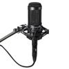 Audio Technica AT2035 Condenser Microphone Cut Shock Mount Unidirectional/Low Switch/Pad Switch/Dedicated Included/Recording/Home Recording/Video