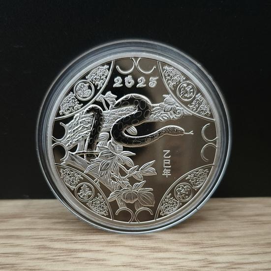 2025 Snake Commemorative Coin Chinese New Year Collectible Iron Coin Year of The Snake Badge Coin for Wealth And Good Luck