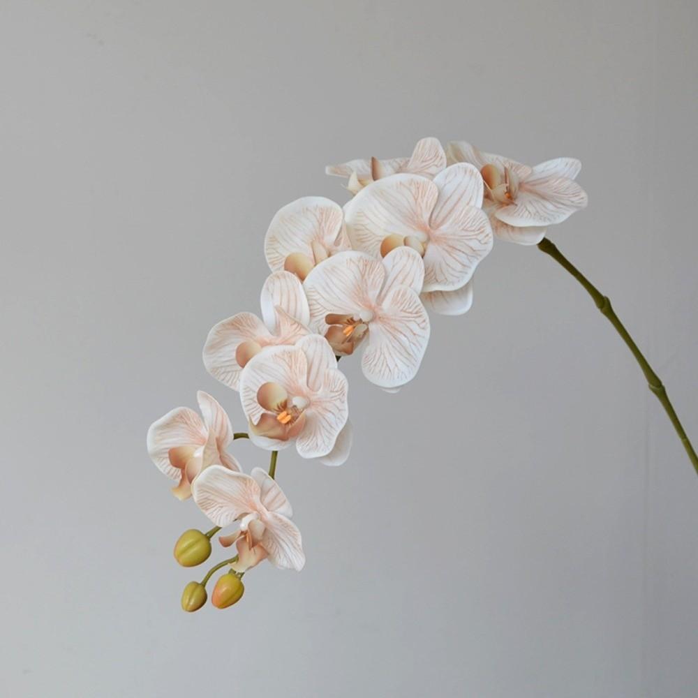 Single Branch Simulation Butterfly Orchid Moth Orchid Plastic Flower Bouquet  Home Decor