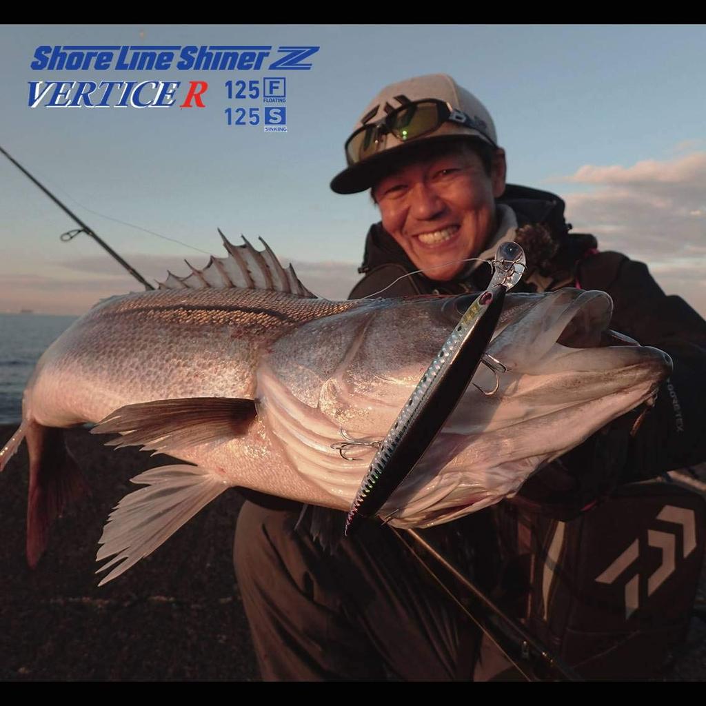 Daiwa Shoreline Shiner Z Vertis R125F Laser Red Head Sea Bass Minnow