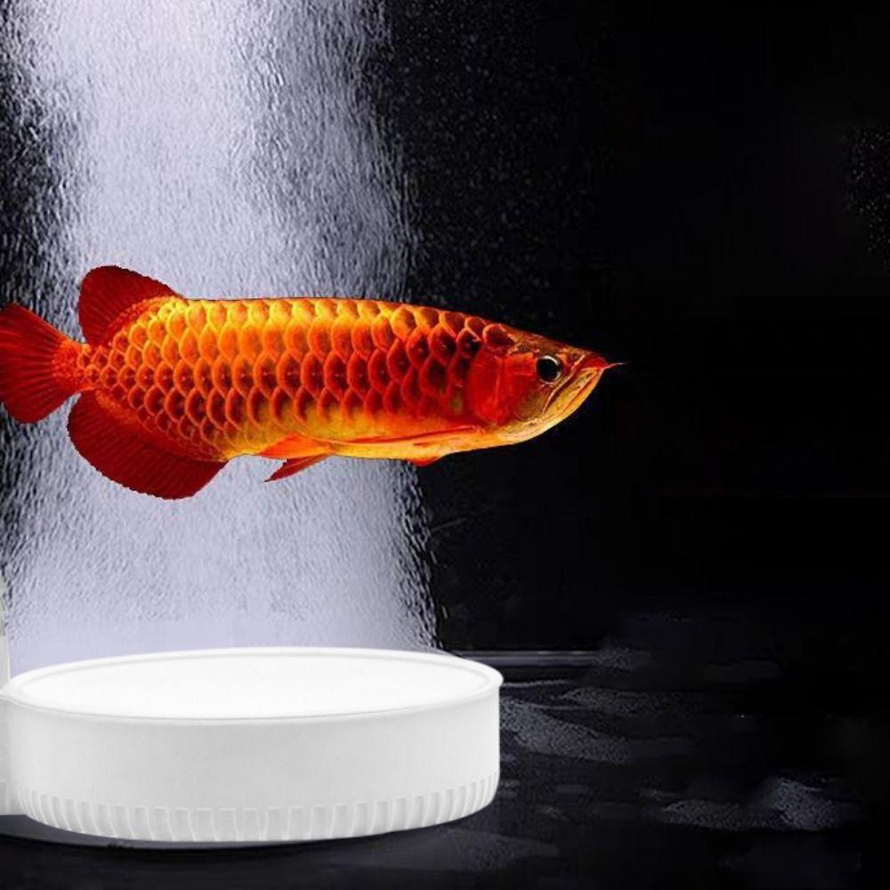 Quartz Air Pump Mute Oxygen Booster 5/10/13CM Hydroponic Oxygen Plate For Fish Tank
