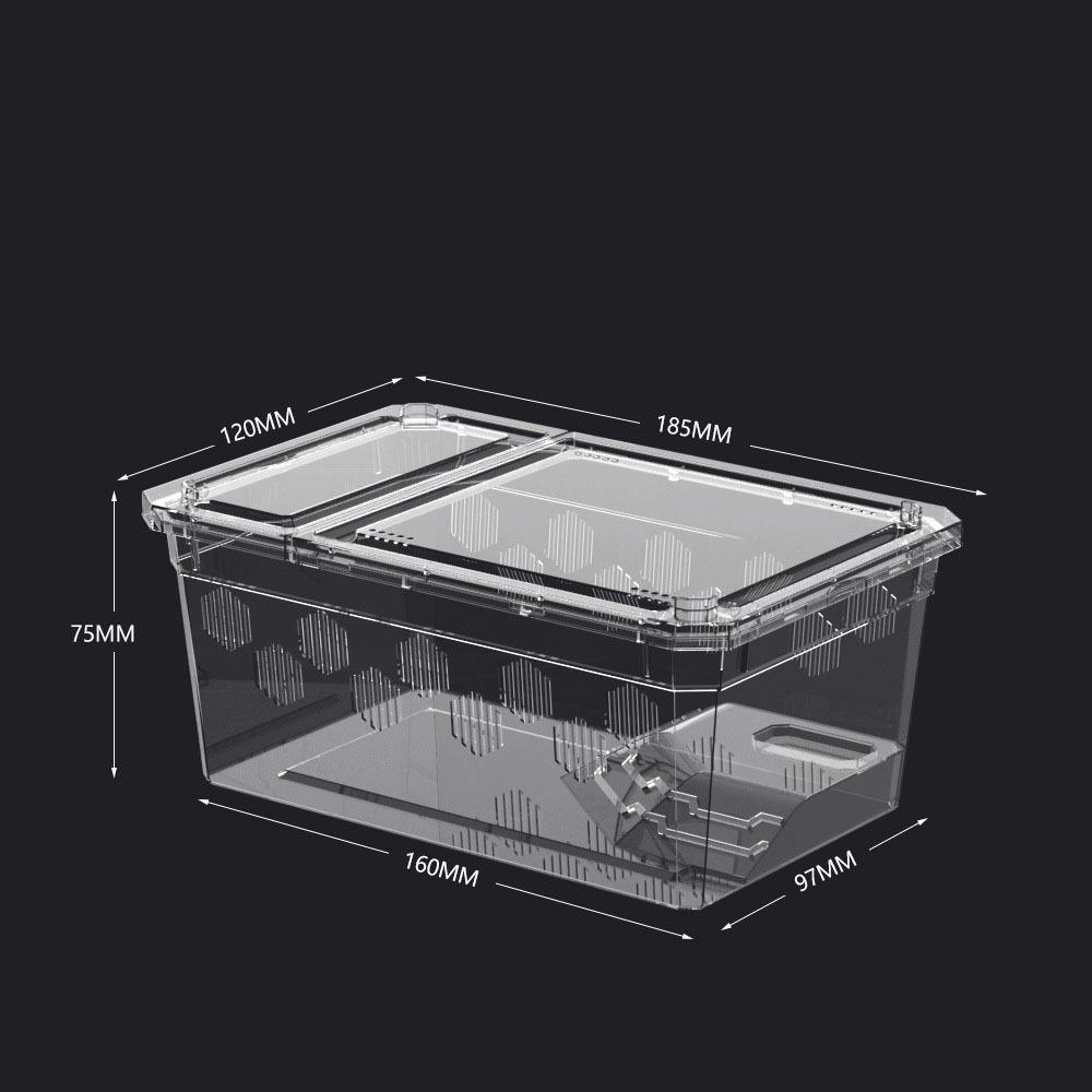 Transparent Reptile Tank Plastic Reptile Transport Container Reptile Pet Supplies