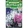 Смесь колокольчиков средних Sakata Seed, Премиальные японские семена цветов для клумб и срезки