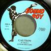 7-дюймовая пластинка JUNIOR DELGADO Caution SB002 Sound Boy 2003 UK Регги Ска Даб Б/у