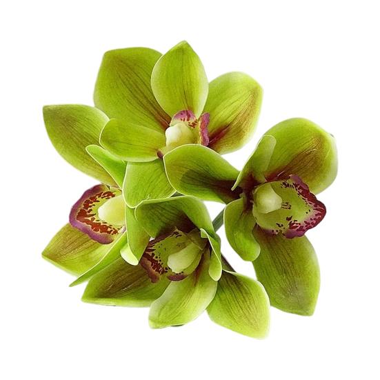 Искусственный цветок Тонкая работа Погодоустойчивый 4 ветки Реалистичное прикосновение Ультрареалистичная имитация