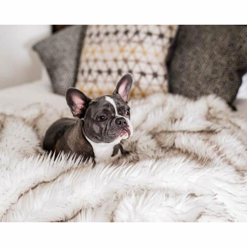Водонепроницаемая плюшевая лежанка для собак с одеялом из лисьего меха и подушкой