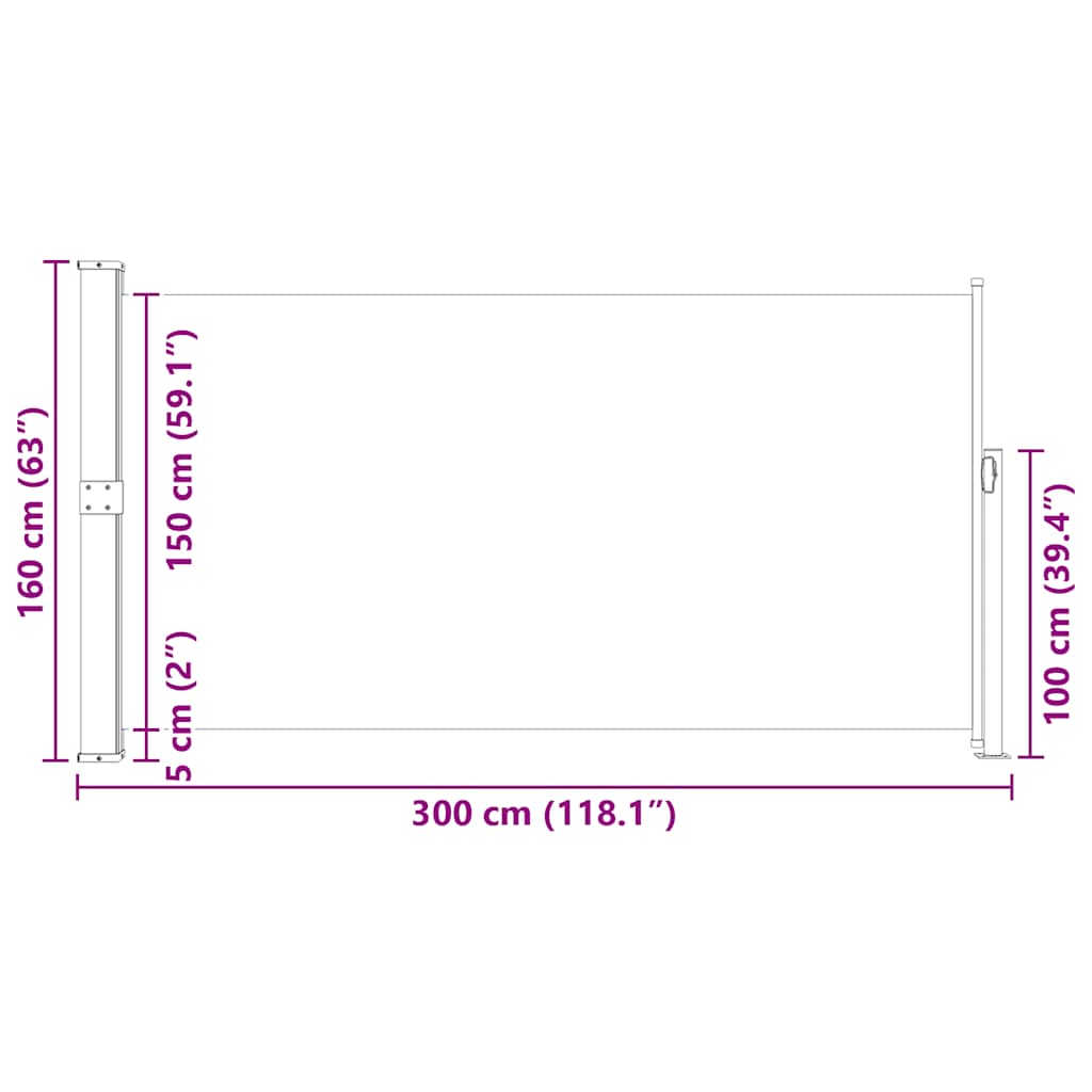 Retractable Side Awning 160 x 300 cm Gray