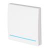 Wireless Light Switch Smart Remote Control Switch Wall Switch 433MHz for Home Office 1 Gang