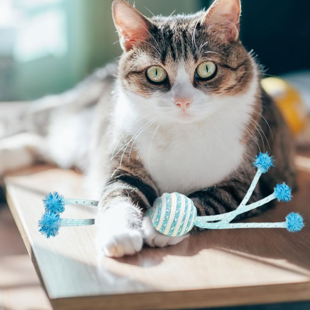 Interactive 6- String Ball Cats Toy With Tassels For Self-Play & Boredom Relief