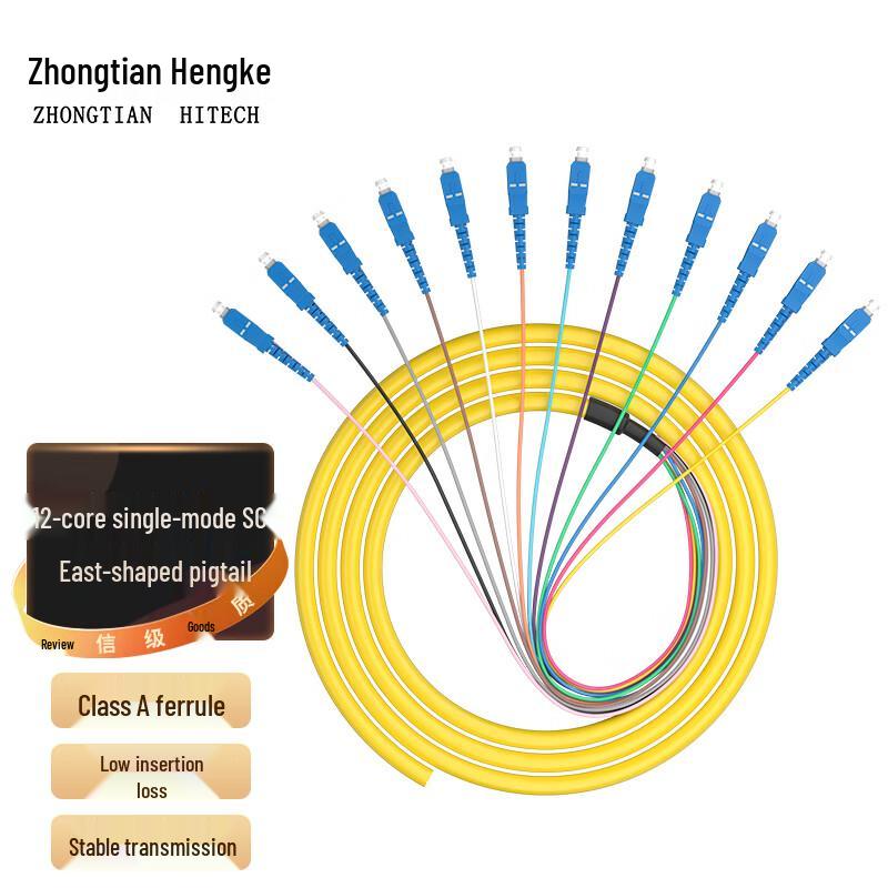 Zhongtianhengke 12-Core Fiber Optic Bundled Pigtail
