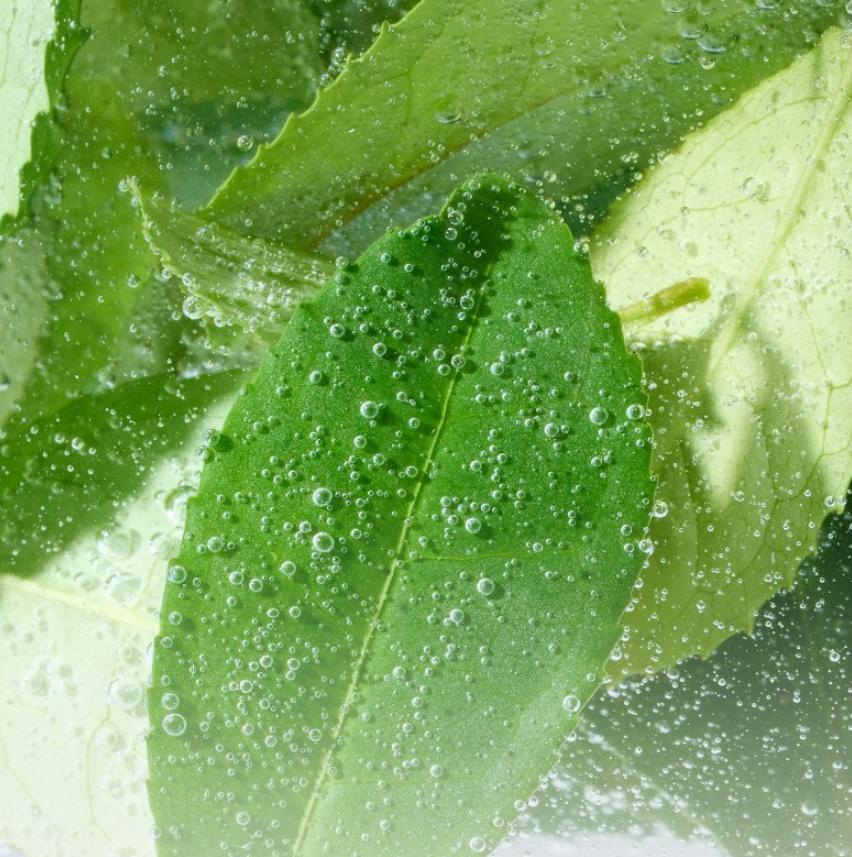 Innisfree Увлажняющее очищающее масло с аминокислотами зеленого чая 150 мл