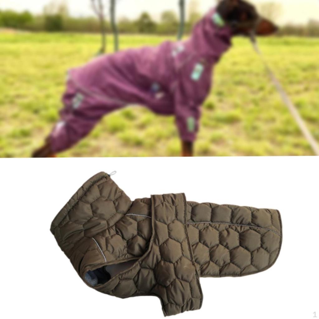 Уютная куртка для домашних животных для зимних приключений