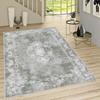 Washable Printed Carpet LNA1228