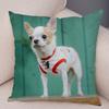 Cute Pet Animal Pillowcase Decorative Cute Puppy Chihuahua Pillowcase Soft Plush Cushion Cover for Car Sofa Home 45x45cm