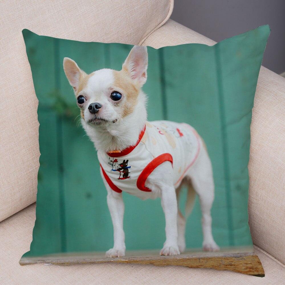 Cute Pet Animal Pillowcase Decorative Cute Puppy Chihuahua Pillowcase Soft Plush Cushion Cover for Car Sofa Home 45x45cm