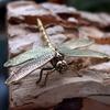 1 шт. Винтажная статуэтка стрекозы из латуни, украшение, Парк Юрского периода, ретро-фигурка стрекозы, декоративное произведение искусства для дома