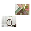 Hydroponic Plants Test Tube Vase with Wooden Stand Clear Flower Vase Table
