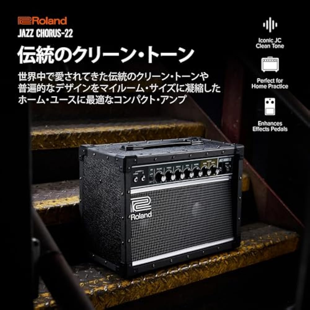 Roland/JC-22 Roland Guitar Amp Jazz Chorus 30W