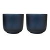 Seasons Borosilicate Glass 200ml Cup (Pack of 2)