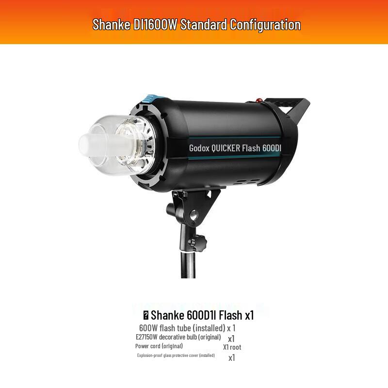 Godox DII 600W Studio Strobe Flash Kit