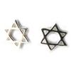 Les Trésors De Lily [M7068] - Silver 'Star of David' Earrings