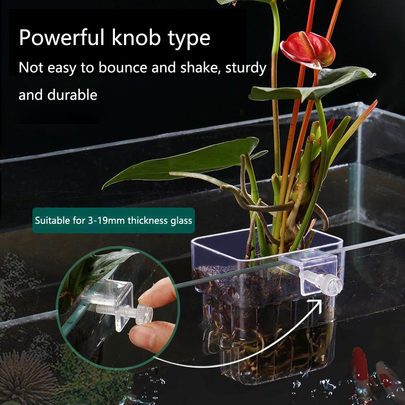 2 шт., выдолбленный стакан для водных растений, настенный, снижающий уровень нитрата, надводный стакан для гидропонной посадки растений, аксессуары для аквариума
