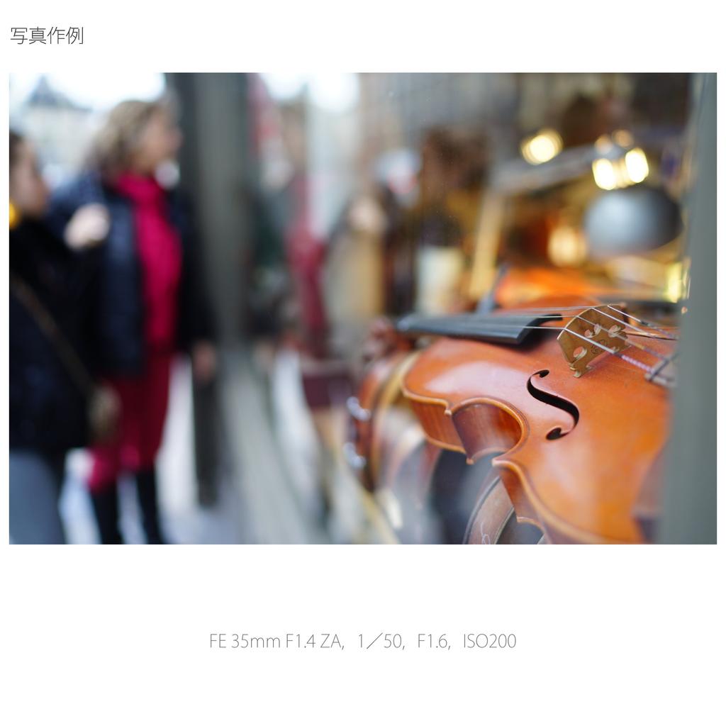 Однофокусный объектив SONY Distagon FE 35 мм ZA E mount 35 мм, совместимый с полноразмерными камерами SEL35F14Z T F1.4