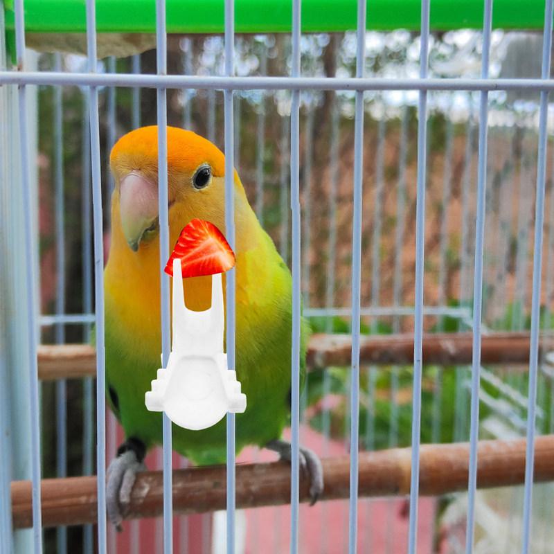 8 Pcs Bird Food Feeder Accessory for Parrots Hamster Snack Holder Feeding Tool