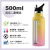 Eliciya Vacuum Insulated Stainless Steel Bottle, 500ml, Keeps Drinks Hot or Cold, Double-Walled Construction, Carbonated Drink Compatible, Straw Cap &