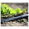 HYDRO™ 16 Mm Tap Connector (5/8") for Drip Irrigation