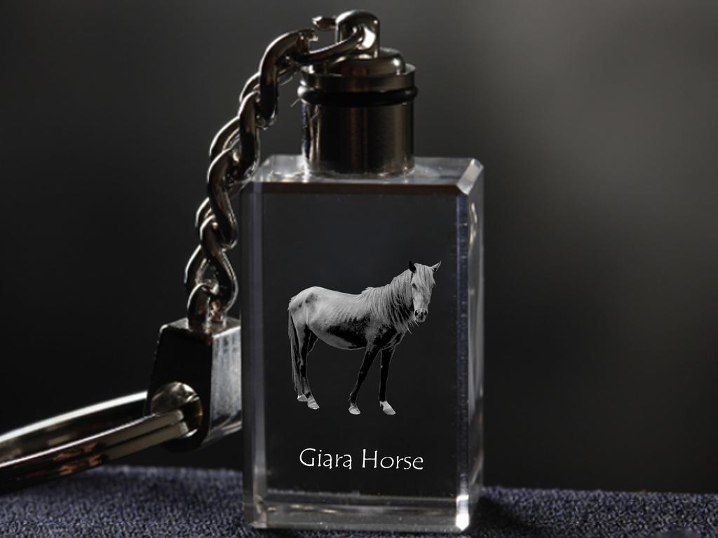 Giara Horse - Crystal Pendant with Photo of a Horse, Illuminated Pendant, Unique Gift by Art-Dog Brand