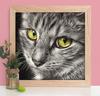 Diamond Embroidery 5D Cat DIY Diamond Art Painting Animal Mosaic Home Decoration