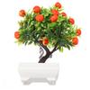 Orange Tree Diameter 22cm Easy To Clean Height 26cm Non Toxic Brand New