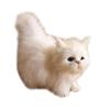 AAGWW плюшевая игрушка для кошек, фигурка кошки, плюшевая игрушка для кошек, реалистичный набор игрушек-имитаций кошек, украшение, милая фигурка, подарок (белый)